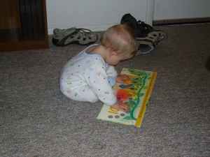 The Ladybug book is his favorite.